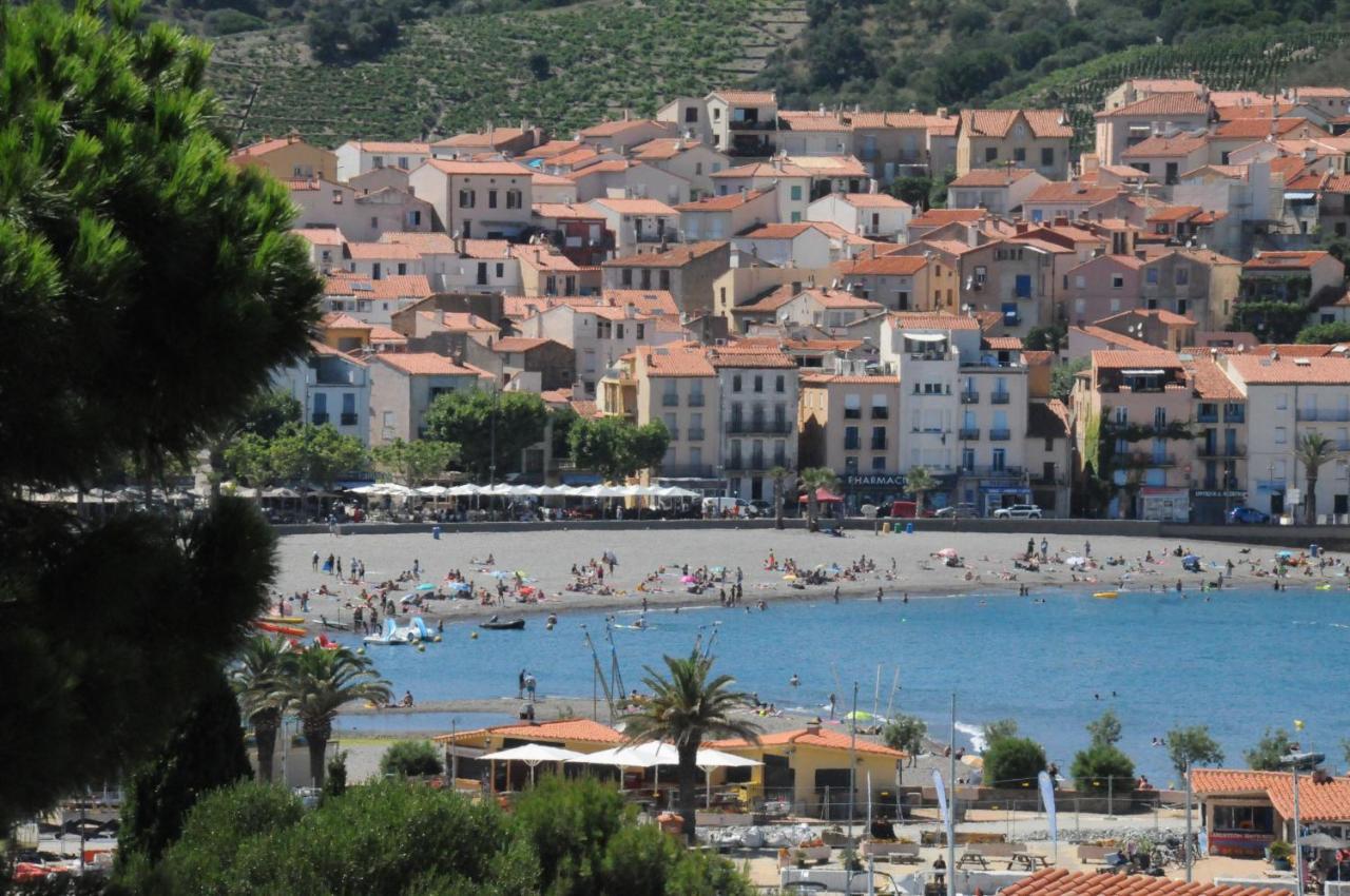 Appartement Avec Grande Terrasse Vue Sur Mer Banyuls-sur-Mer Luaran gambar